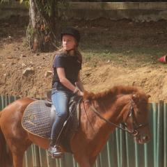 Brown pony being ridden - medium shot