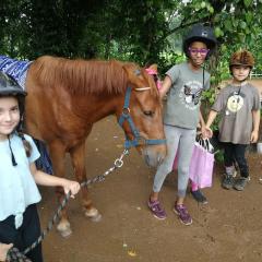 Brown pony being petted by three children