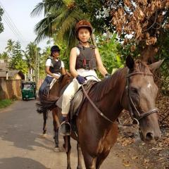 Brown horse ridden on the road